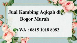 Jual Kambing Aqiqah di Bogor
