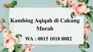 Kambing Aqiqah di Cakung Jakarta Timur