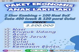 Paket Ekonomis Anak Laki Laki