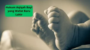 Hukum Aqiqah Bayi yang Wafat Baru Lahir