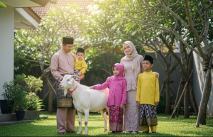 Umur Kambing untuk Aqiqah